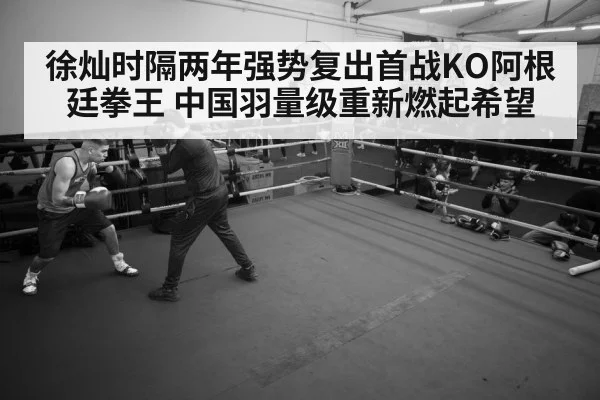 boxer training gym