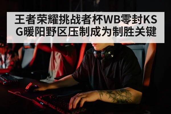 王者荣耀挑战者杯WB零封KSG暖阳野区压制成为制胜关键
