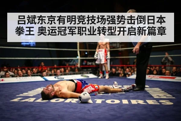 boxer knockout victory